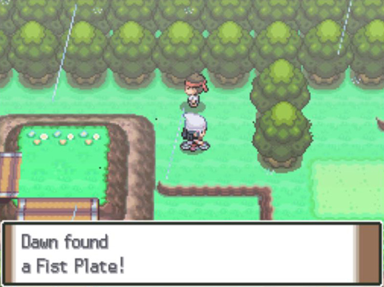 Obtaining the Fist Plate on Route 215 / Pokémon Platinum