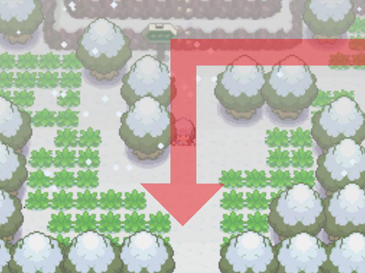 Taking a southward turn at the Lake Acuity sign / Pokémon Platinum