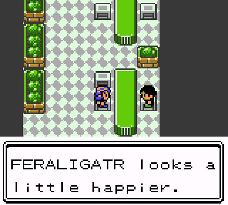 Haircut Brother comments on the results of his work. / Pokémon Crystal