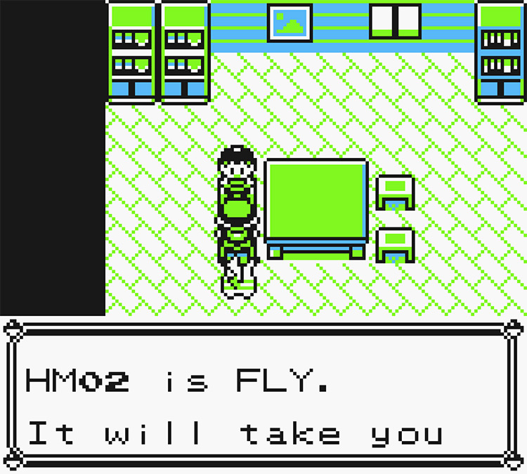 Talking with the girl who gives you HM02 Fly / Pokémon Yellow