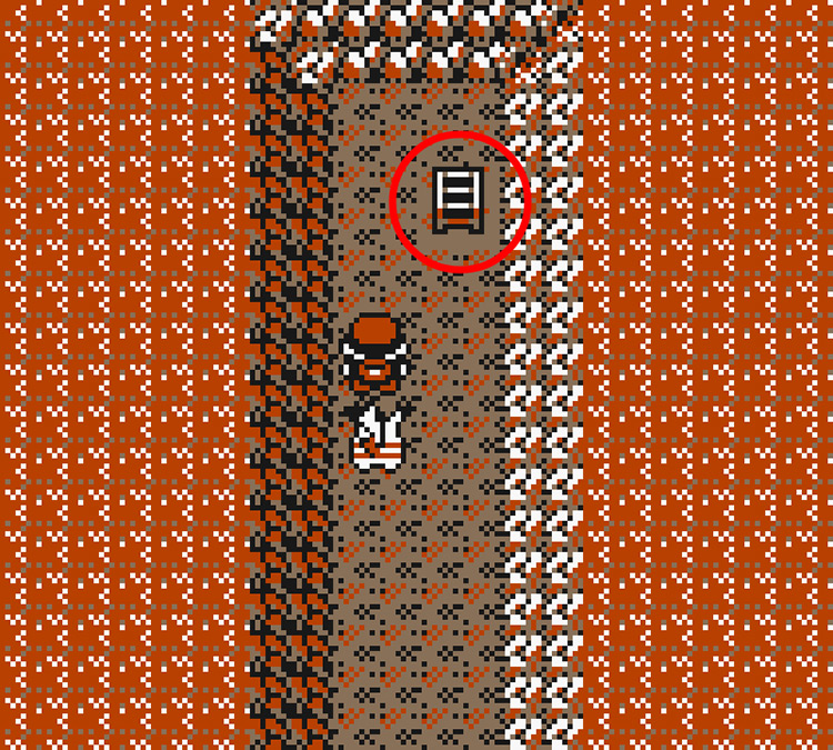 Standing next to the ladder at the Route 2 end of Diglett’s Cave / Pokémon Yellow