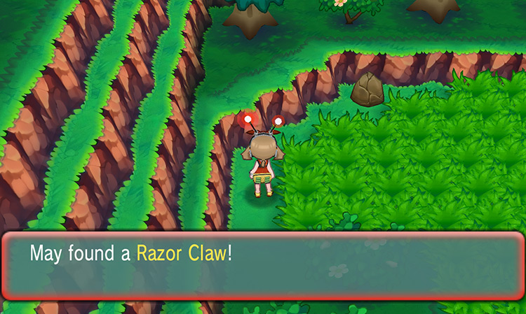 Using the Dowsing Machine to find a hidden Razor Claw / Pokémon ORAS
