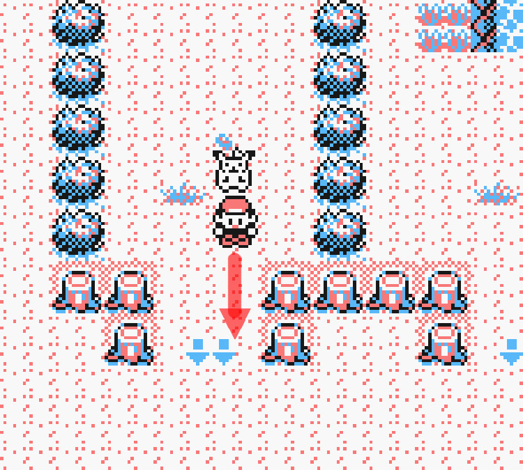 Standing in front of the entrance to the Safari Zone’s west area / Pokémon Yellow