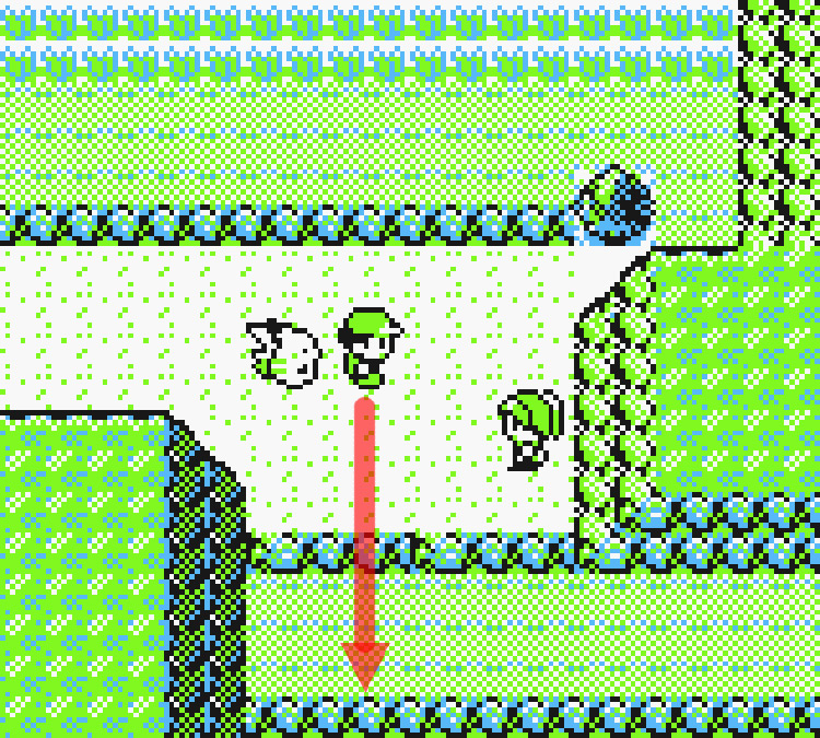 Standing above a Jr. Trainer near the start of Route 9 / Pokémon Yellow