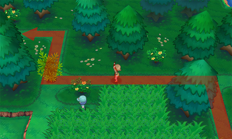 The second prickly tree you need to cut down / Pokémon Omega Ruby and Alpha Sapphire