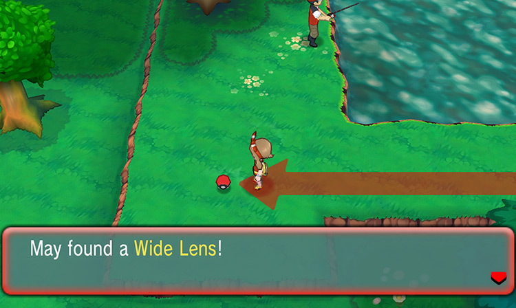 The Wide Lens on Route 123 / Pokémon Omega Ruby and Alpha Sapphire