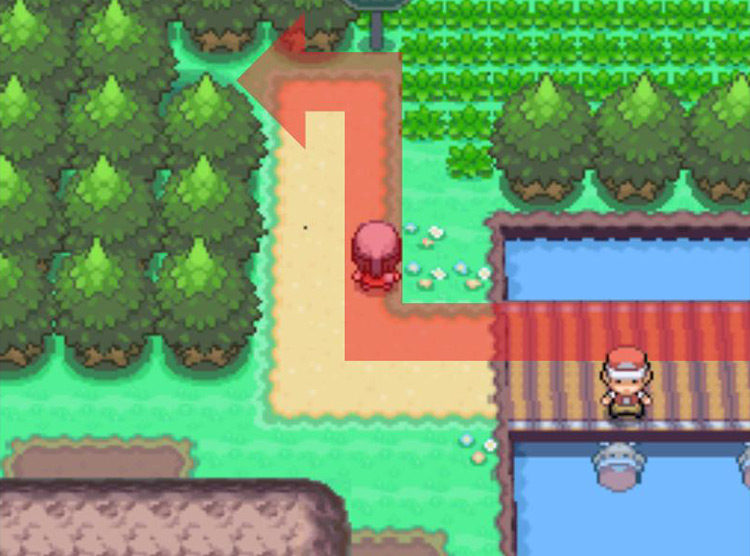 Taking the northern trail to the Forest’s entrance. / Pokémon Platinum