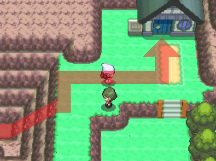 Entering the house to the northeast of Dragon Tamer Patrick / Pokémon Platinum