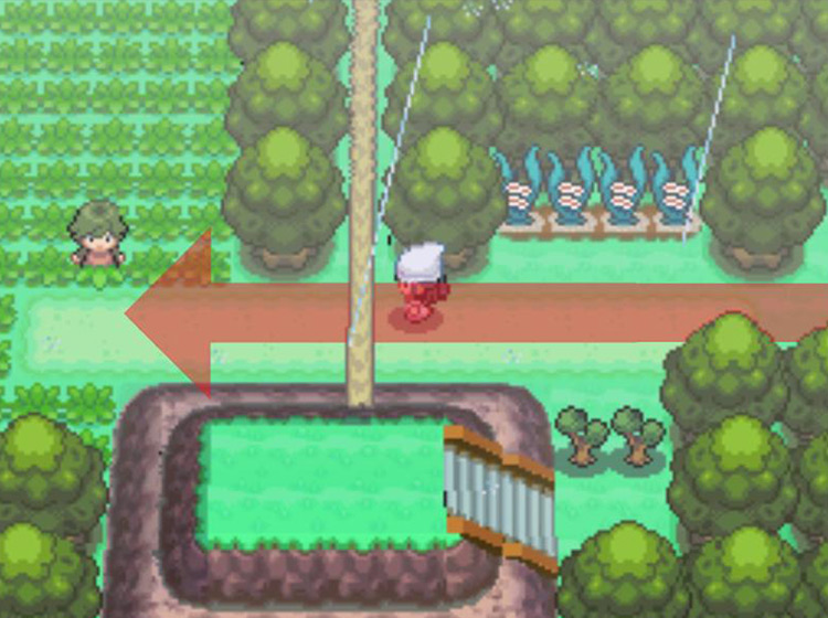 Entering the marshes to the west / Pokémon Platinum