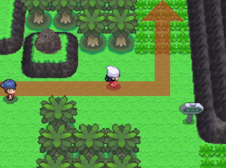 Turning northward into the tall grass / Pokémon Platinum