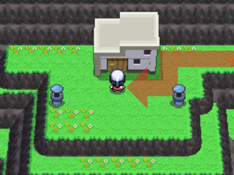 Entering the Move Tutor’s house in the Survival Area / Pokémon Platinum