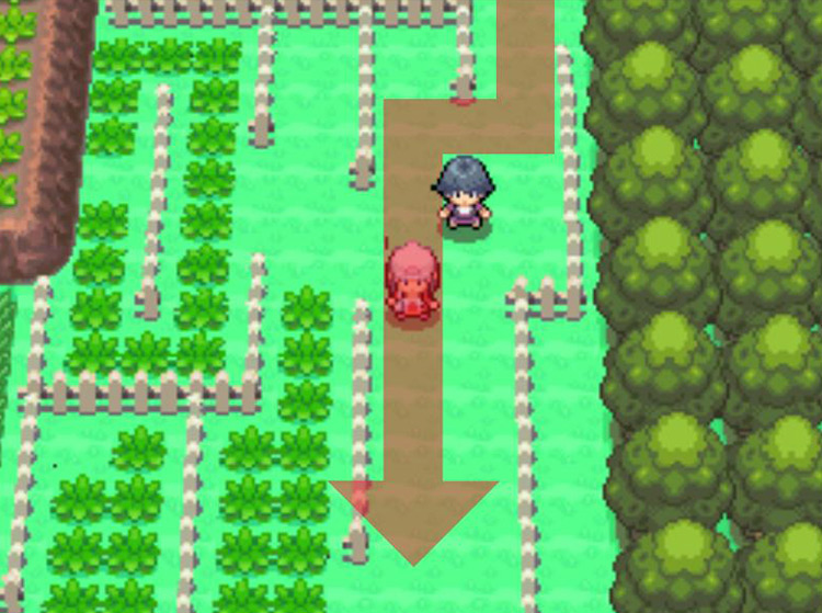 Passing Psychic Mitchell while traveling south. / Pokémon Platinum