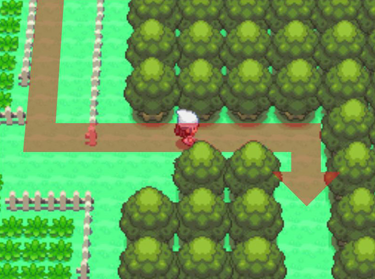 Entering the eastern gap in the woods. / Pokémon Platinum