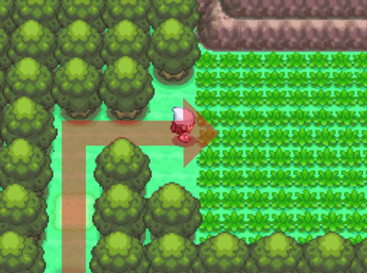 Entering the Sendoff Spring area and moving east. / Pokémon Platinum