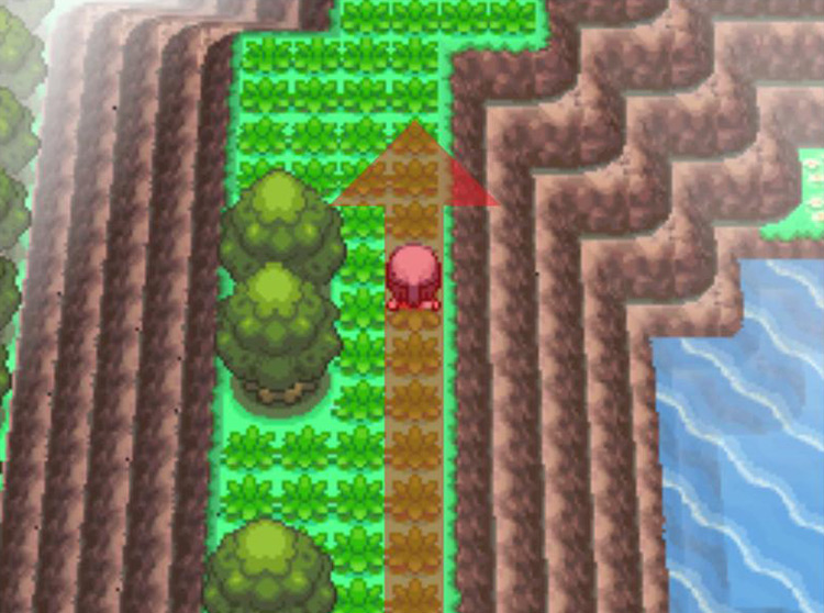 Heading toward the north edge of the circular path. / Pokémon Platinum