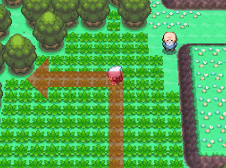 Taking a left turn in the grassy field. / Pokémon Platinum