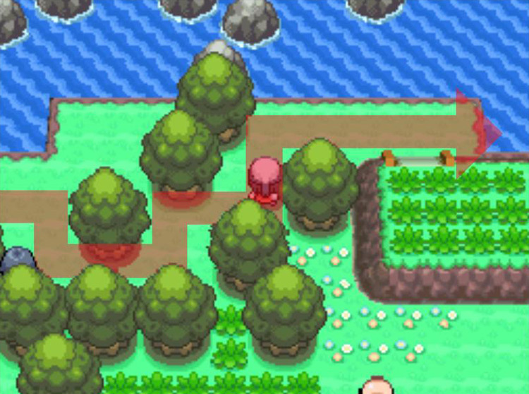 Walking through the maze-like path through the trees and using Surf on the water. / Pokémon Platinum