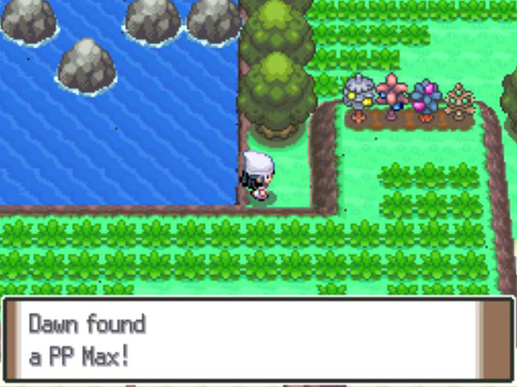 Picking up the PP Max on Route 224. / Pokémon Platinum