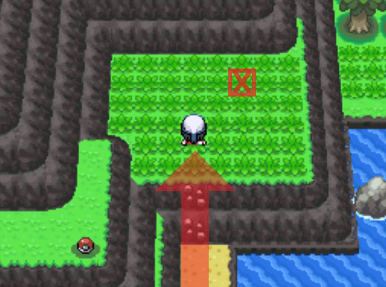 Searching for the PP Max on the grassy plateau. / Pokémon Platinum