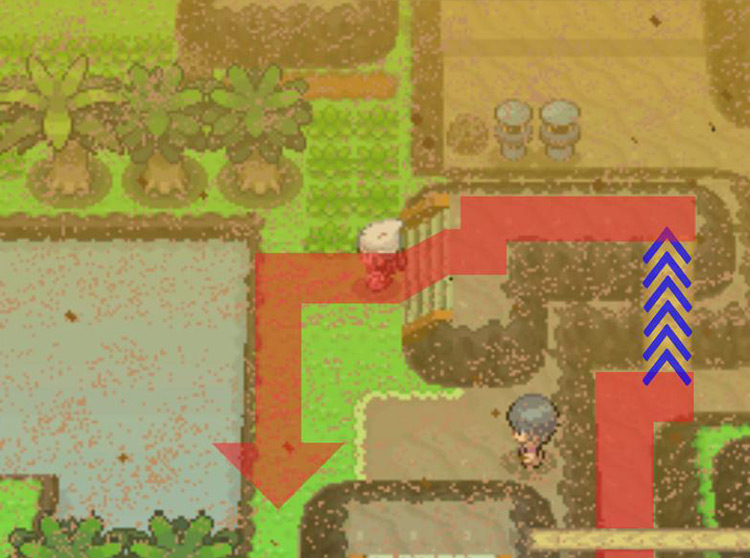 Riding the Bicycle up the muddy slope and curving around south. / Pokémon Platinum