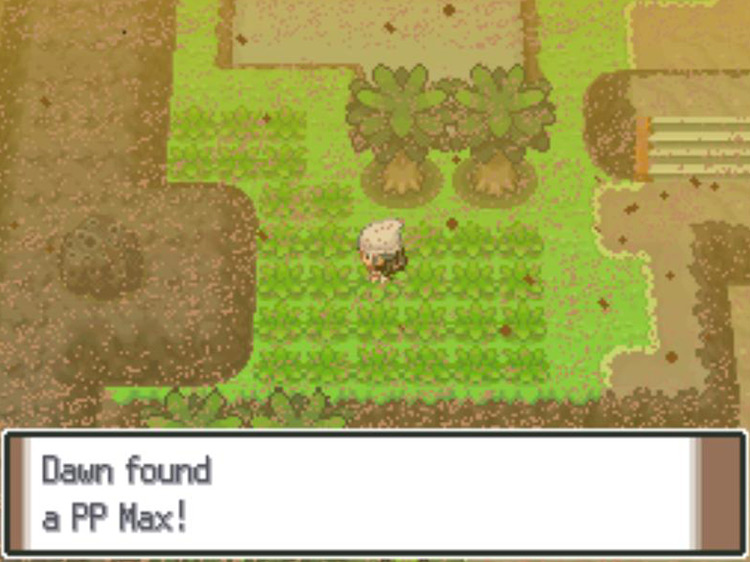 Picking up the hidden PP Max on Route 228. / Pokémon Platinum