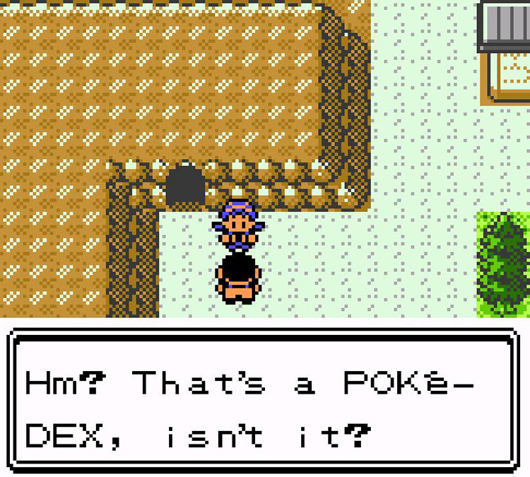 Scientist approaches us outside the main hall. / Pokémon Crystal