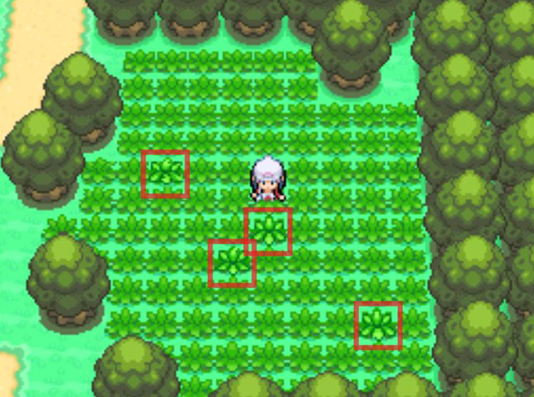 Identifying rustling sections of tall grass caused by the Poké Radar. / Pokémon Platinum