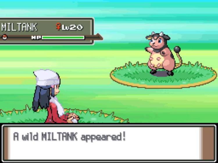 Encountering a wild Miltank on Route 210. / Pokémon Platinum