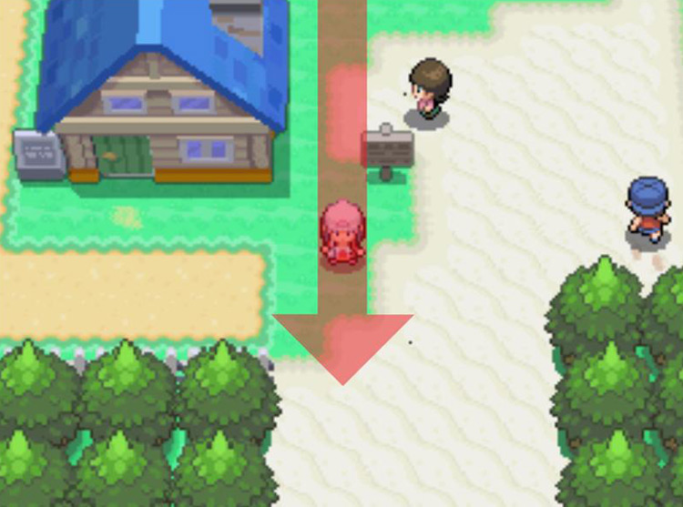 Heading south toward the beach. / Pokémon Platinum