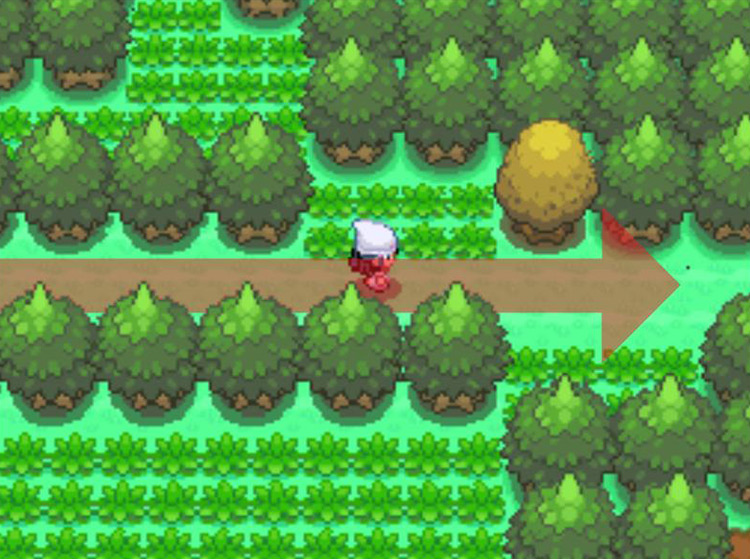 Continuing eastward past the Honey Tree. / Pokémon Platinum