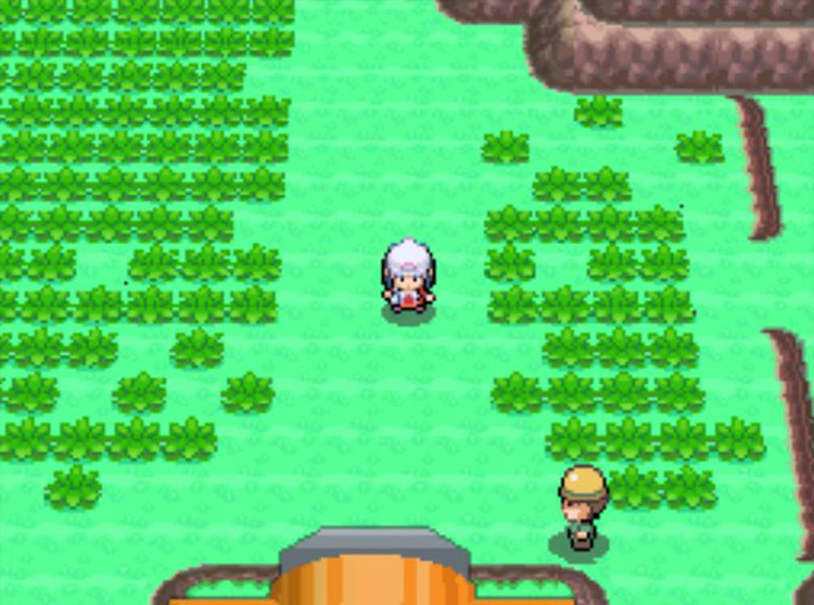 The Field area of Pal Park, just past the Park’s entrance. / Pokémon Platinum