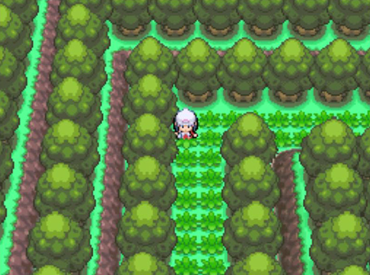 The Forest area in northwestern Pal Park. / Pokémon Platinum