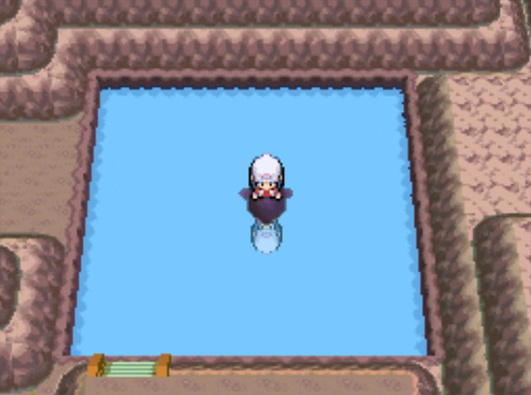 The small Pond area in Pal Park’s northeastern corner. / Pokémon Platinum