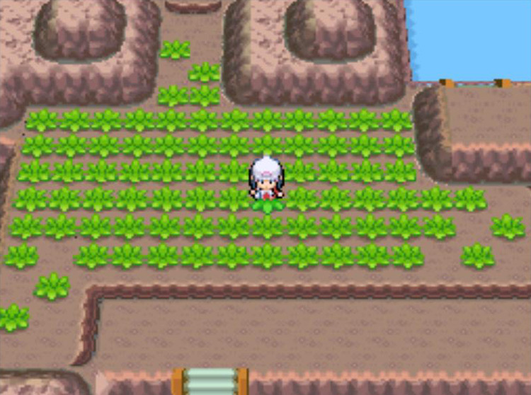 The Mountain area of Pal Park, between the Pond area and the Ocean area. / Pokémon Platinum