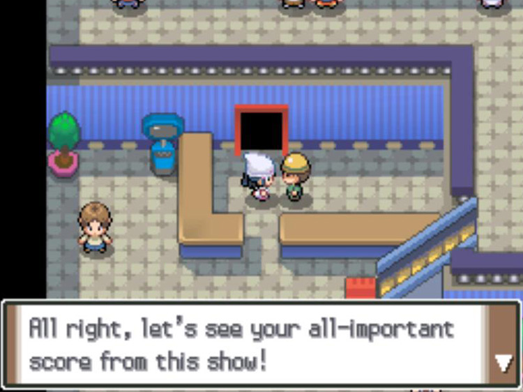 Running through the score after completing a Catching Show. / Pokémon Platinum