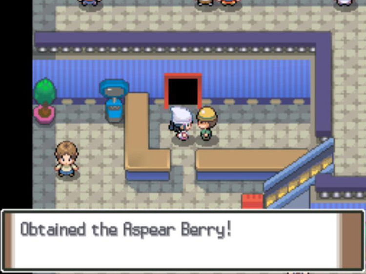 Receiving an Aspear Berry as a Catching Show prize. / Pokémon Platinum