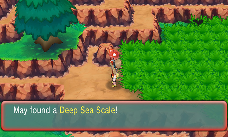 Using the Dowsing Machine to find a hidden Deep Sea Scale / Pokémon Omega Ruby and Alpha Sapphire