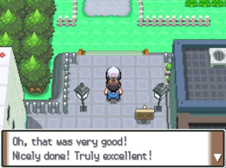 Being approached by a new fan / Pokémon Platinum