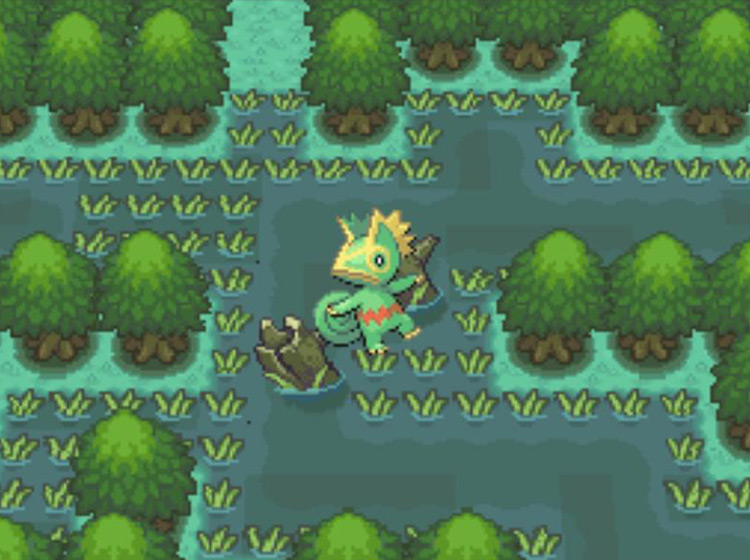 Spotting a Kecleon in Area 4 of the Great Marsh / Pokémon Platinum
