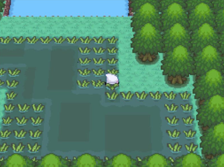 Searching for wild Pokémon in the Great Marsh / Pokémon Platinum