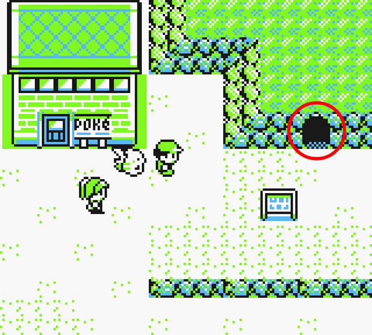 Standing in front of the Route 3 Pokémon Center / Pokémon Yellow