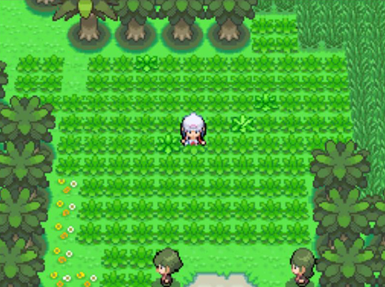 Four patches of grass rustling after a use of the Poké Radar / Pokémon Platinum