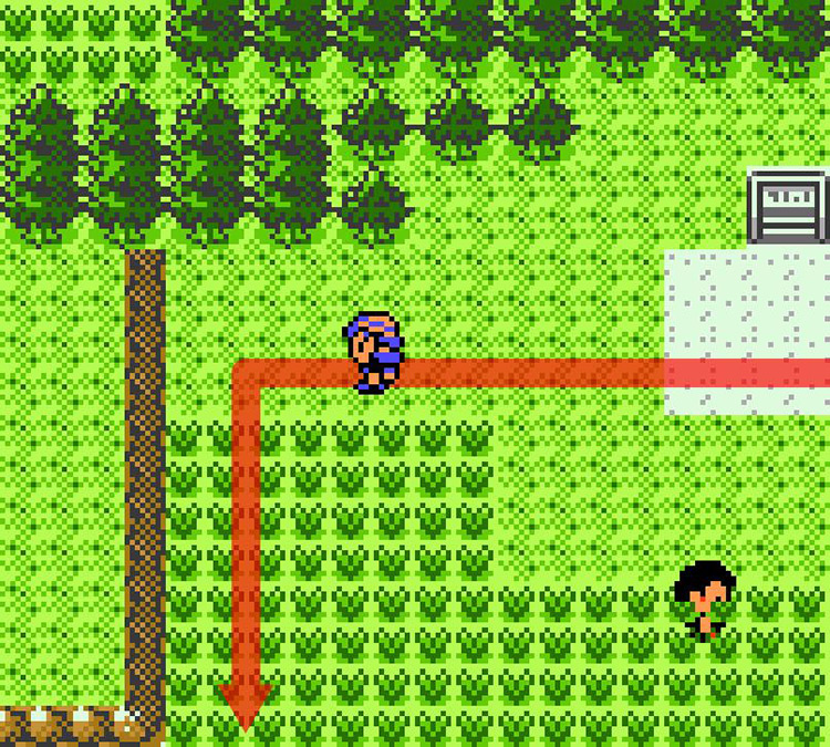 Entering the tall grass west of New Bark Town. / Pokémon Crystal