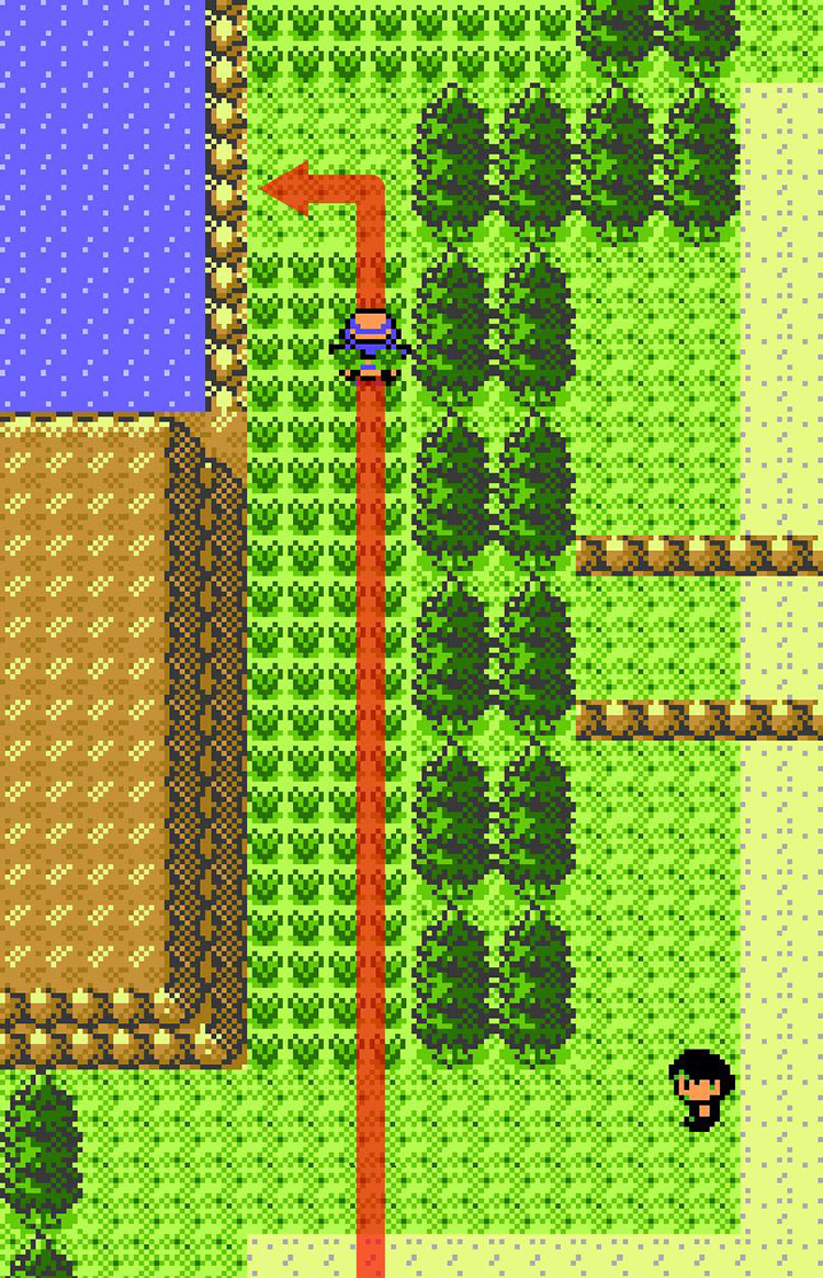 Approaching the river on Route 43. / Pokémon Crystal