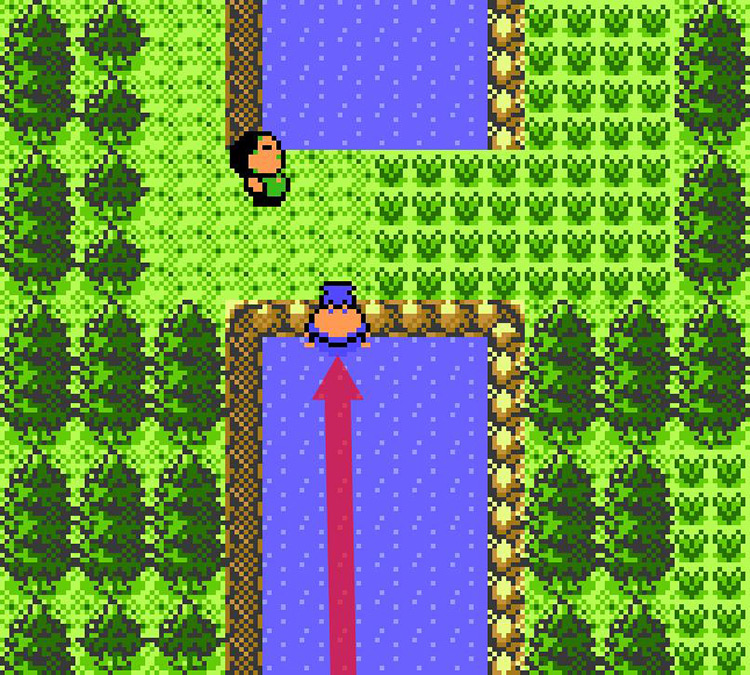 Approaching the last stretch of the river on Route 43. / Pokémon Crystal