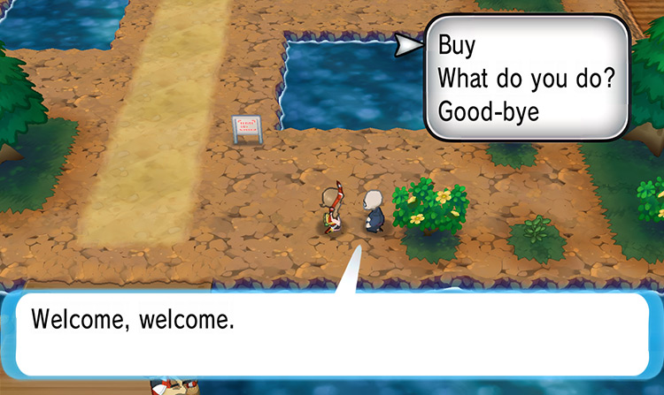 Buying a Hard Stone from the Stone Seller / Pokémon Omega Ruby and Alpha Sapphire