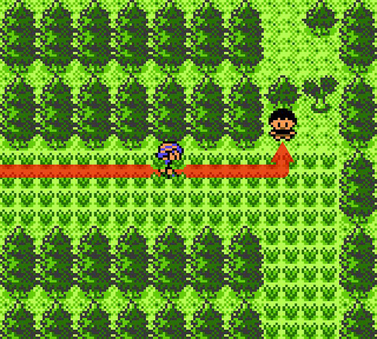 Approaching Arnie in Route 35. / Pokémon Crystal