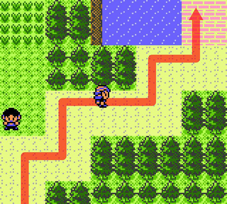 Approaching the fishing spot on Route 32. / Pokémon Crystal