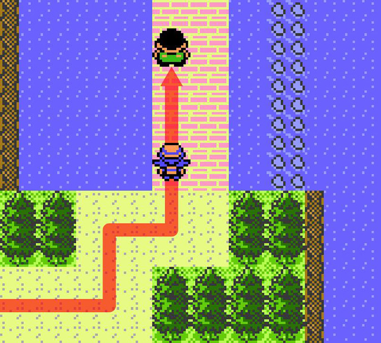 Approaching Fisher Ralph on Route 32. / Pokémon Crystal