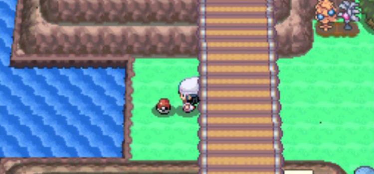 Heal Ball on the ground on Route 205